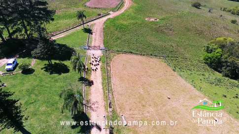 VAI ATE MANGUEIRA OVELHAS.00_02_44_26.Quadro033_317ec8bafb265c46040f15ca78ad67b72db0775e.jpg